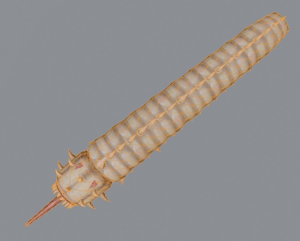 Monster insect worm boss shachong 3D model_9
