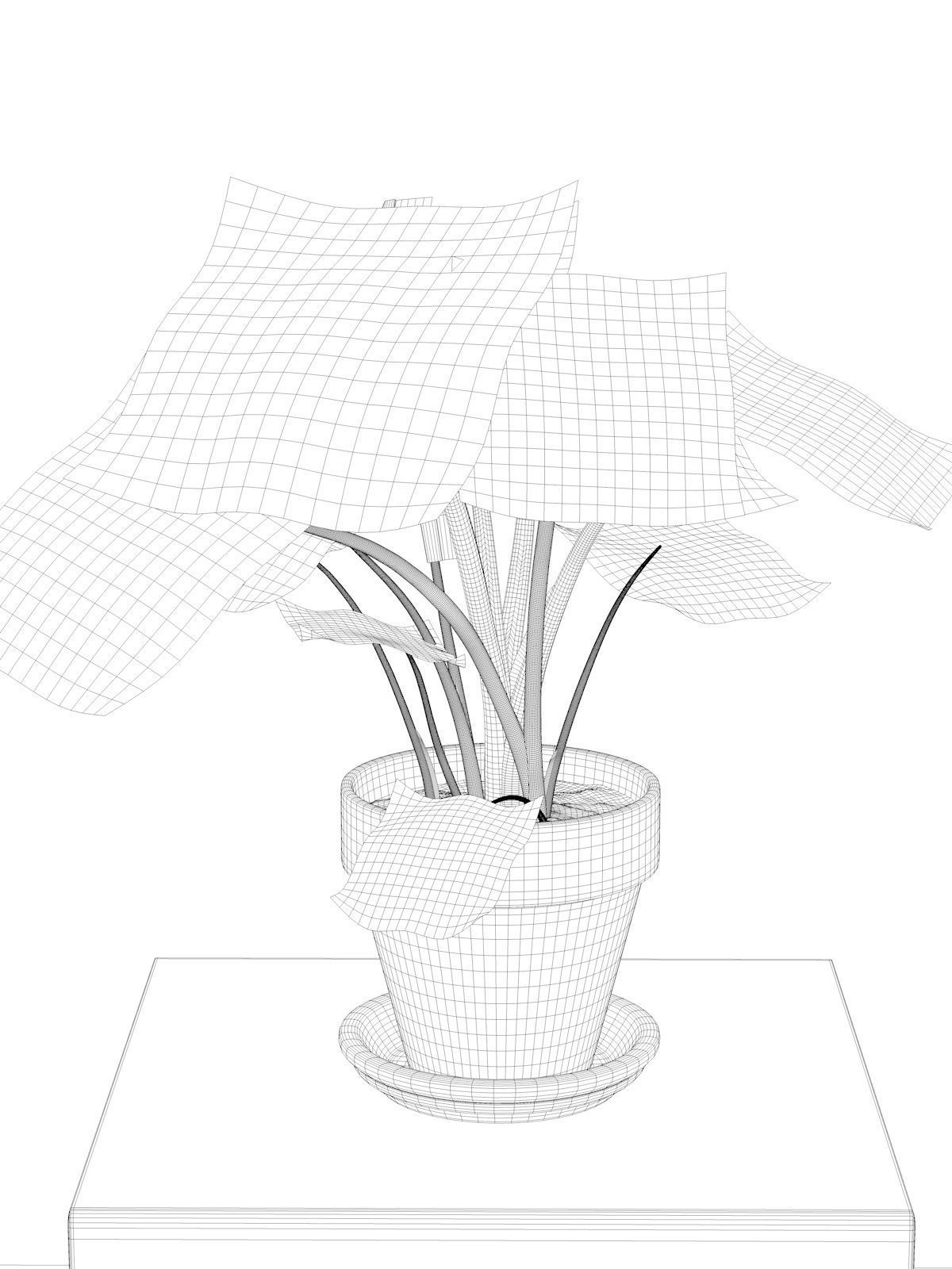 Alocasia Macrorrhiza in Pot 3D model_3