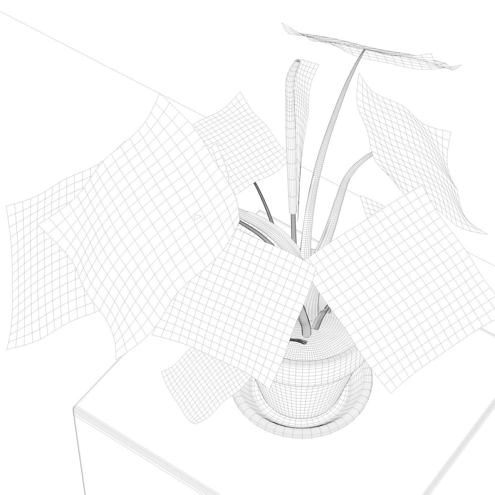 Alocasia Macrorrhiza in Pot 3D model_4