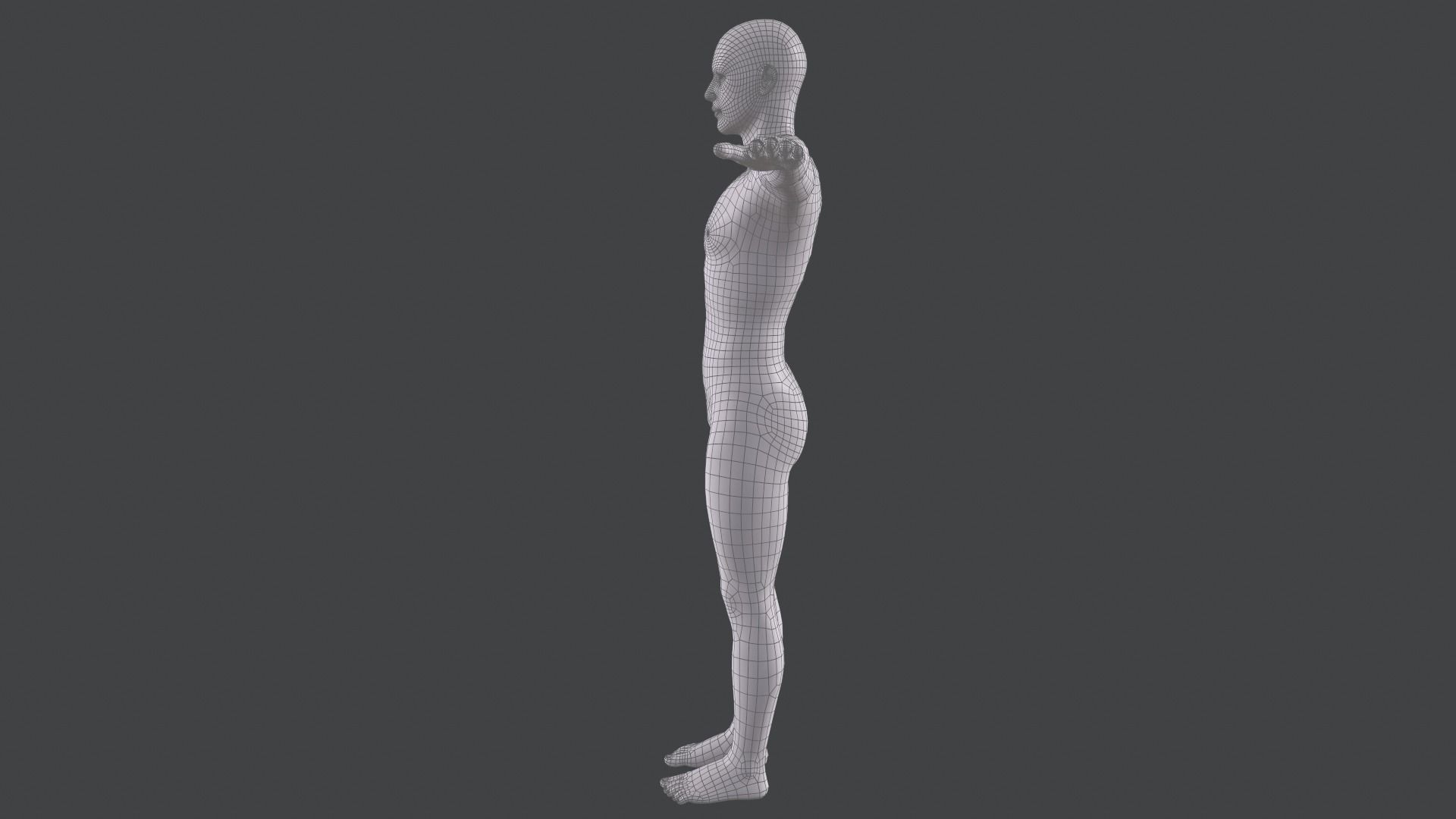 Male Base Mesh Low-poly 3D model_10