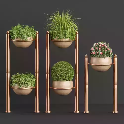 indoor plants new collection vol 35