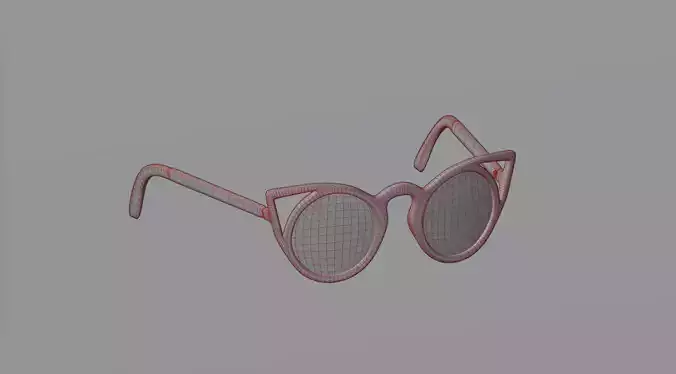 Sunglasses 46