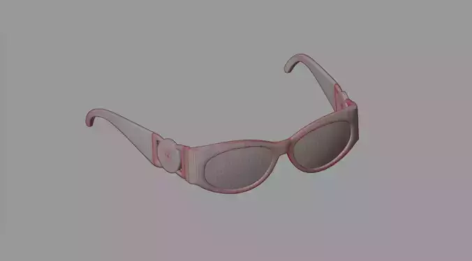 Sunglasses 47