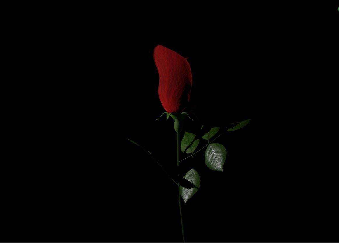 Rose flowers 3D models collection Low-poly 3D model_5