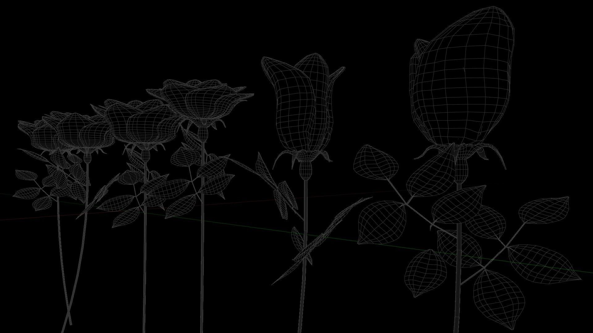 Rose flowers 3D models collection Low-poly 3D model_2