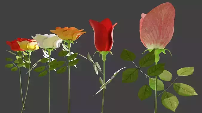 Rose flowers 3D models collection Low-poly 3D model Rose flowers 3D models collection Low-poly 3D model