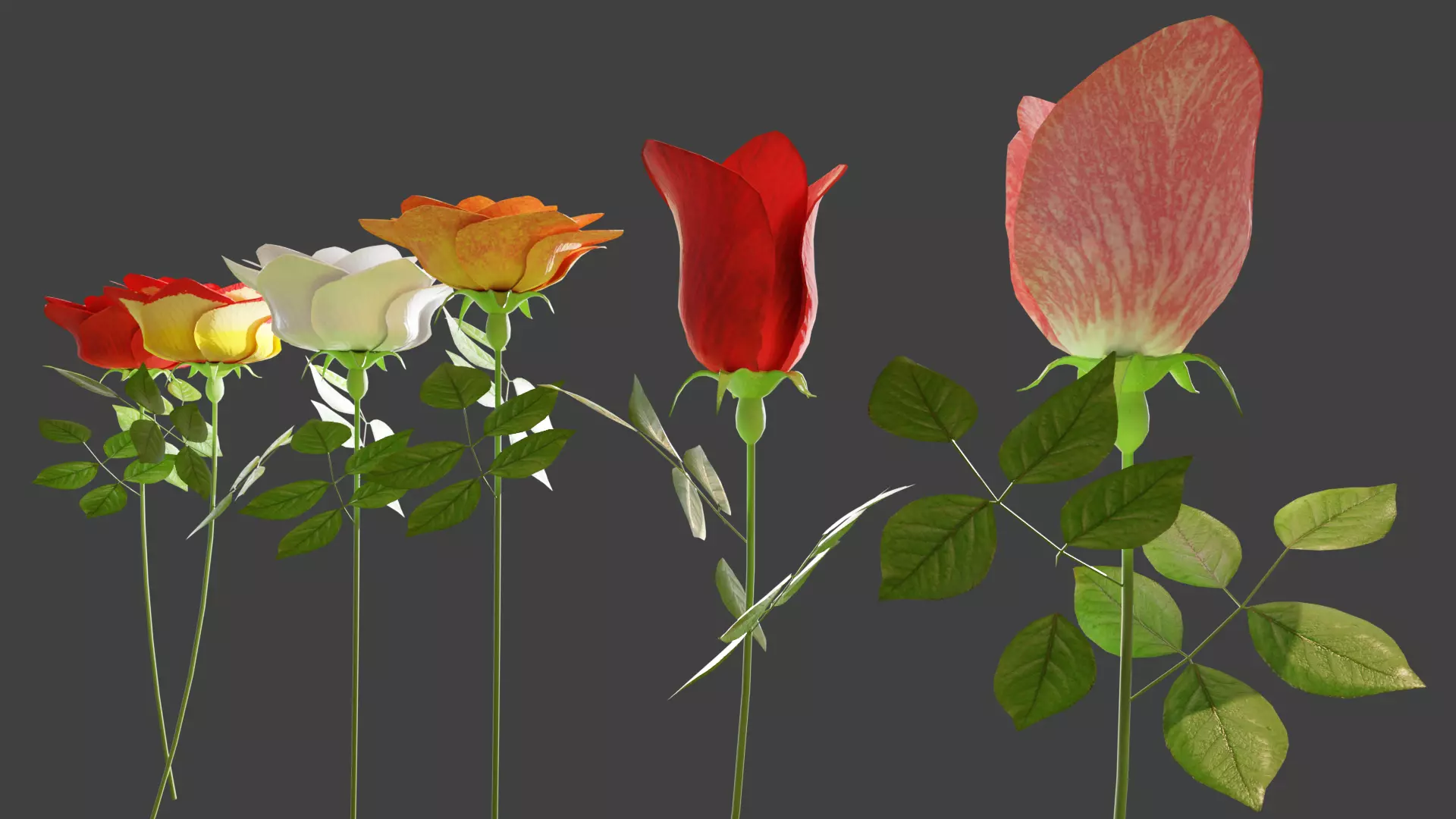Rose flowers 3D models collection Low-poly 3D model_0