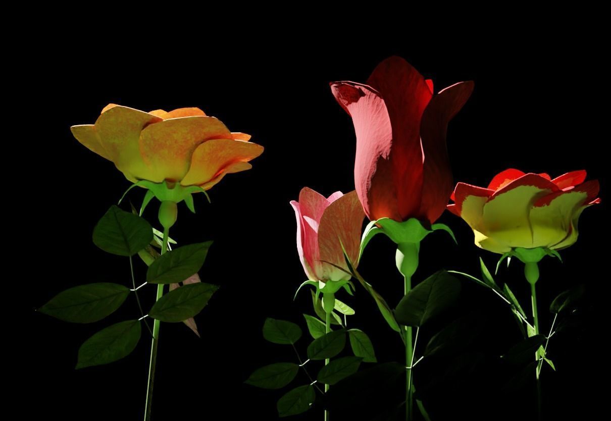 Rose flowers 3D models collection Low-poly 3D model_8