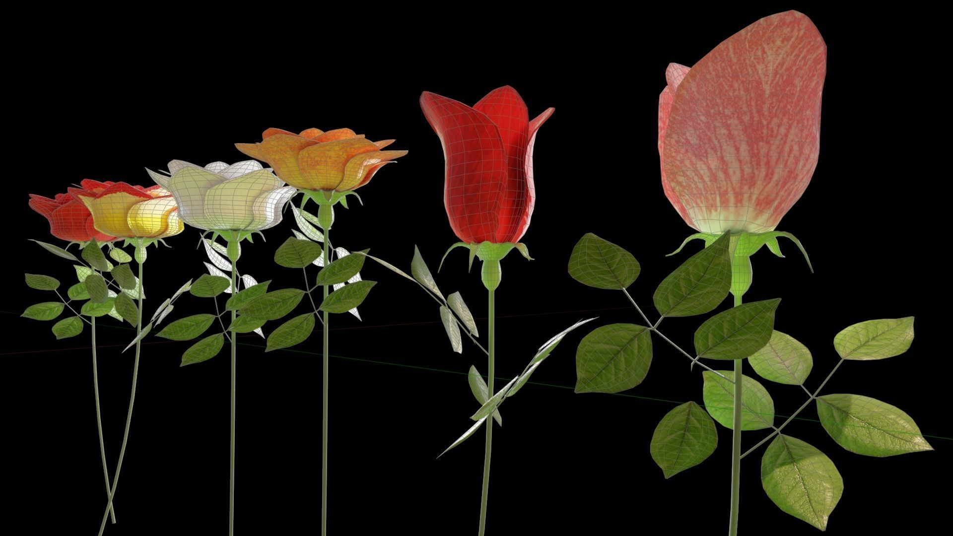 Rose flowers 3D models collection Low-poly 3D model_3