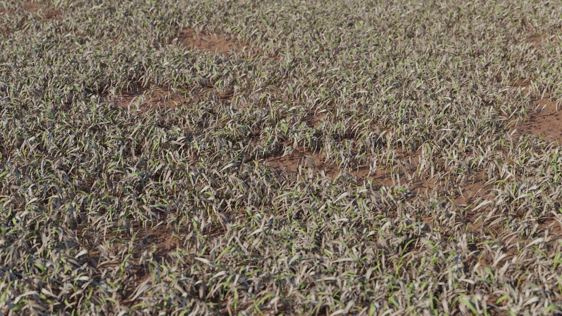 Photorealistic Low Poly Grass Lawn Meadows Low-poly 3D model_2