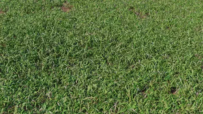 Photorealistic Low Poly Grass Lawn Meadows