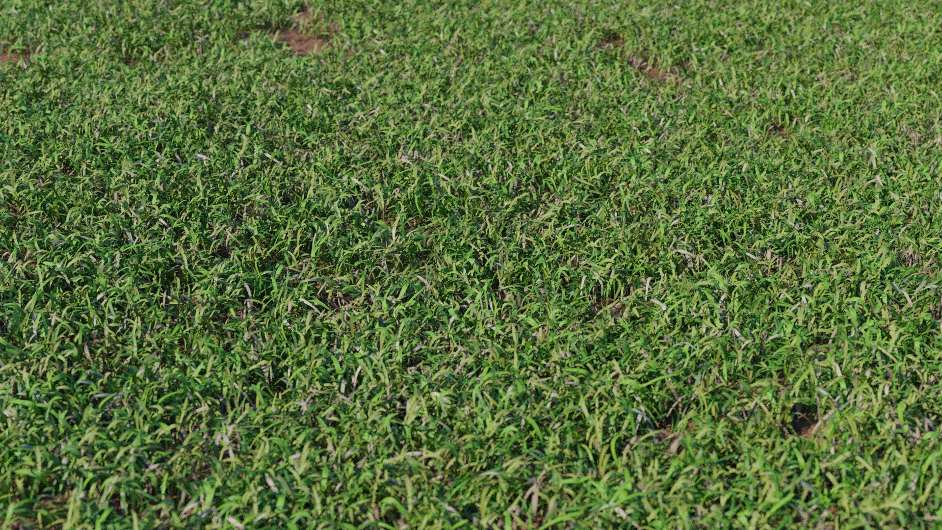 Photorealistic Low Poly Grass Lawn Meadows Low-poly 3D model_0