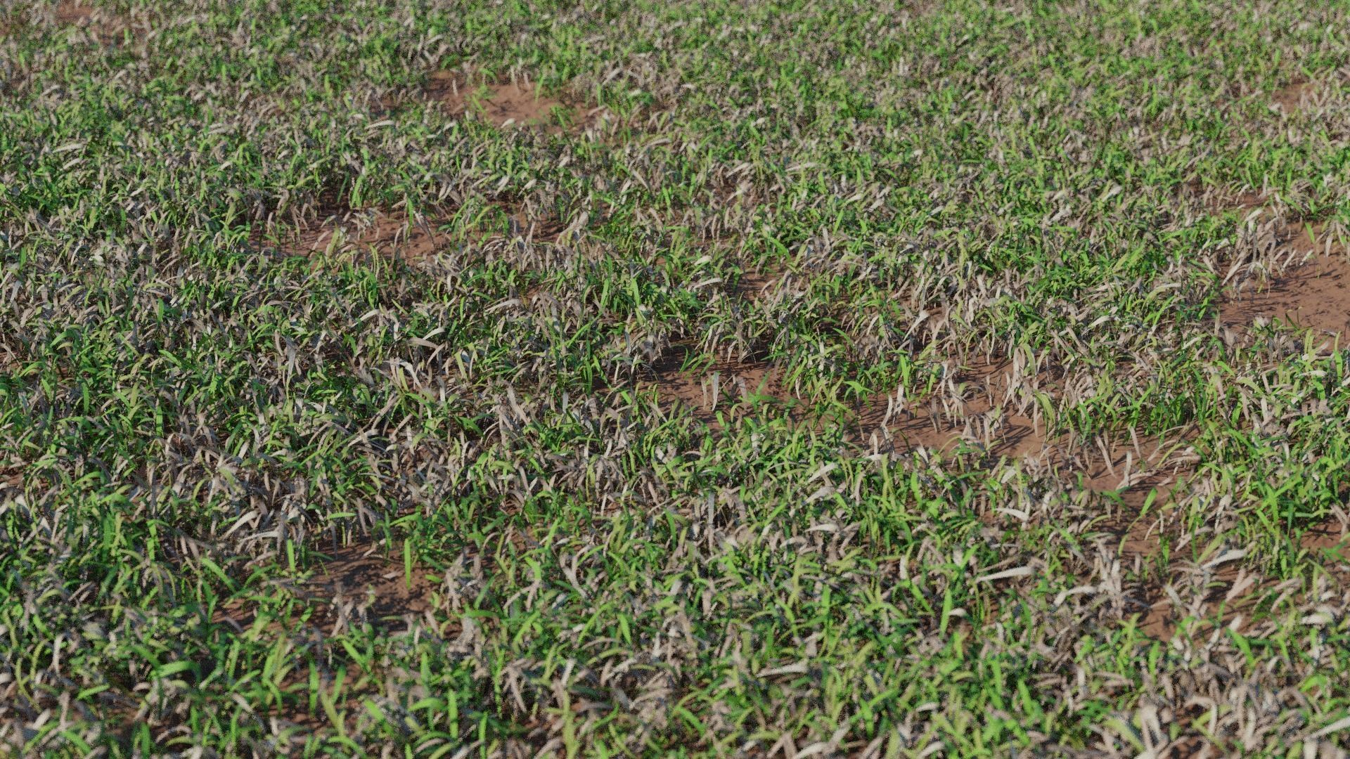 Photorealistic Low Poly Grass Lawn Meadows Low-poly 3D model_3