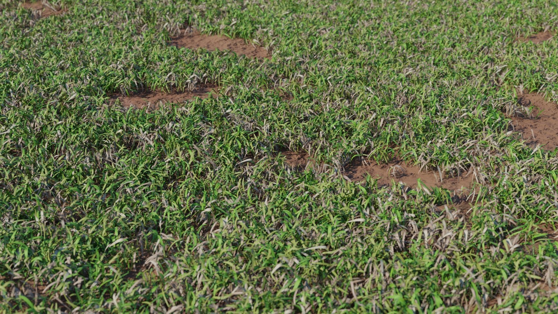 Photorealistic Low Poly Grass Lawn Meadows Low-poly 3D model_1