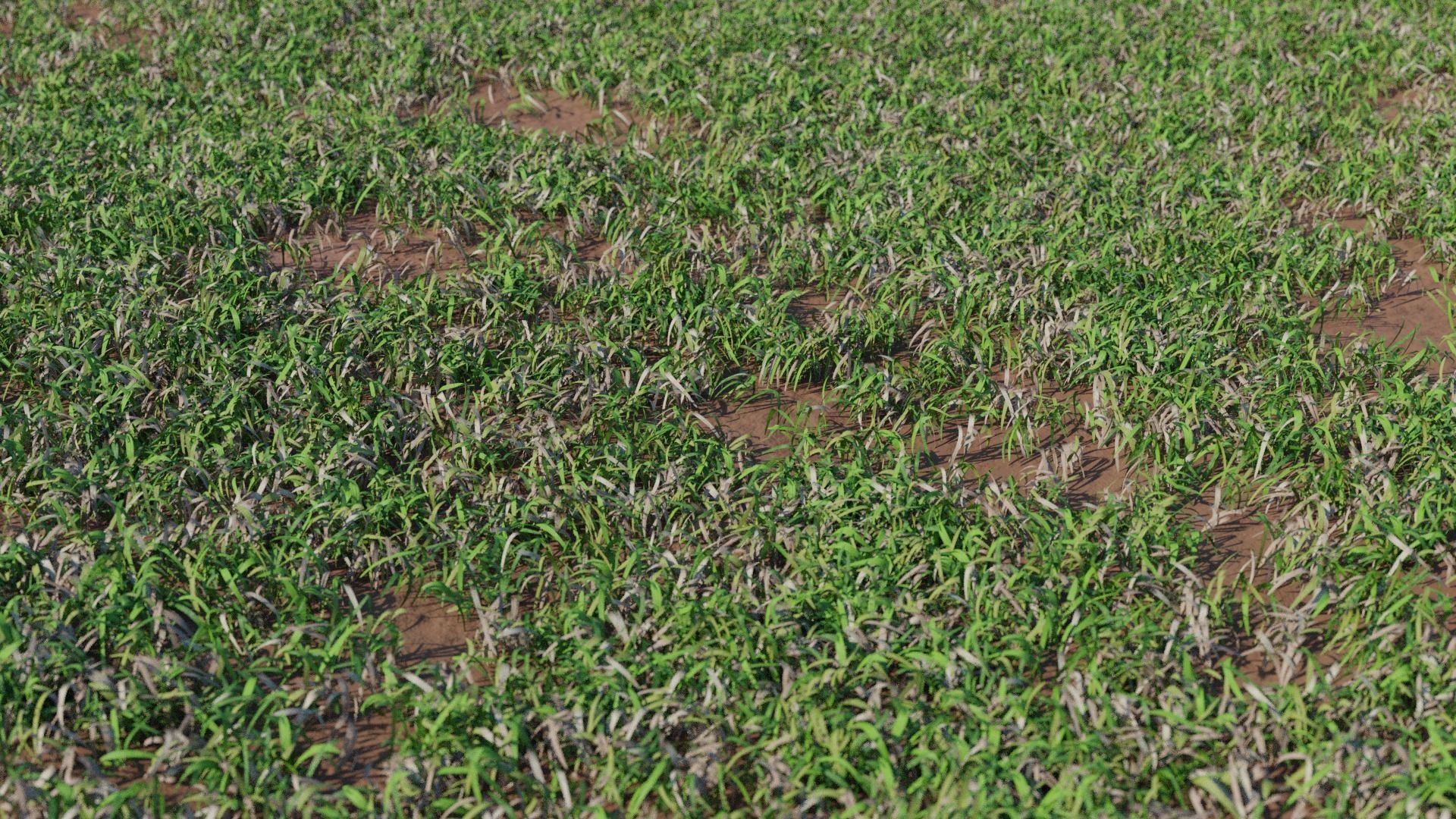 Photorealistic Low Poly Grass Lawn Meadows Low-poly 3D model_4