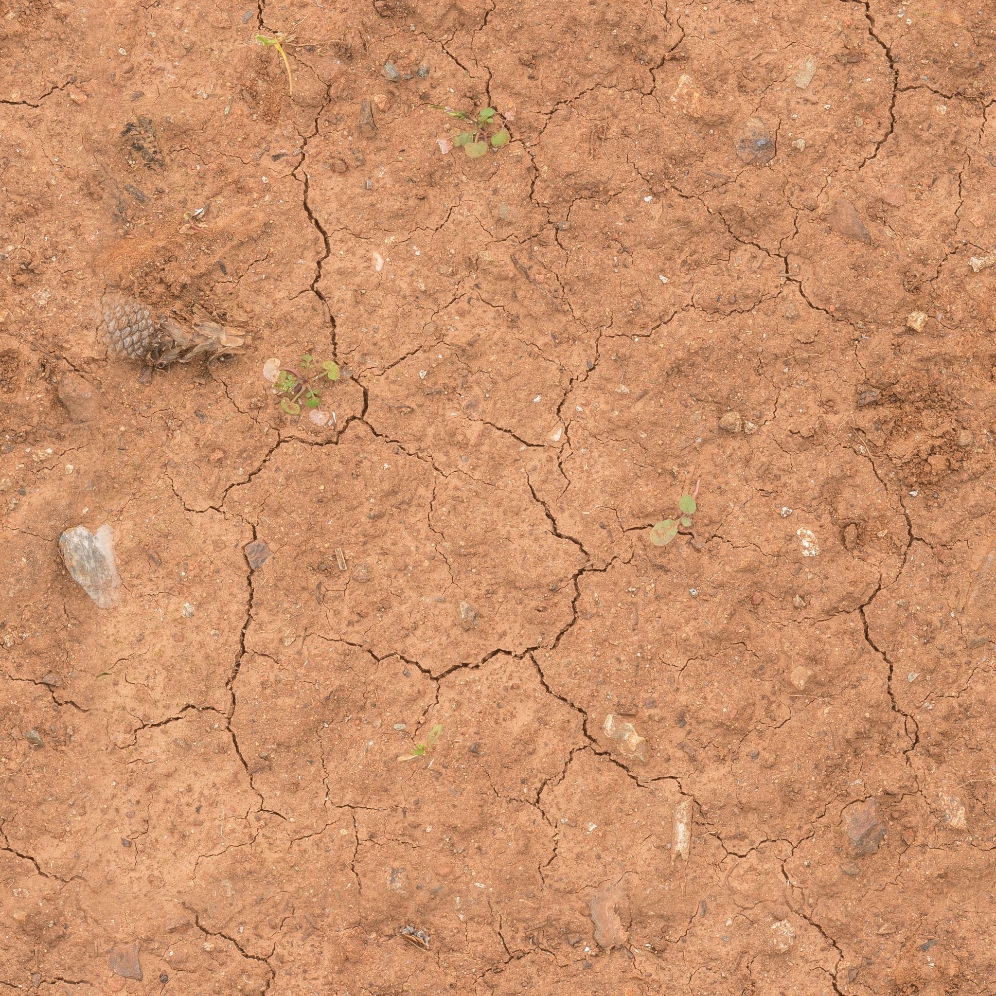 Dirt 1 egg Texture_3