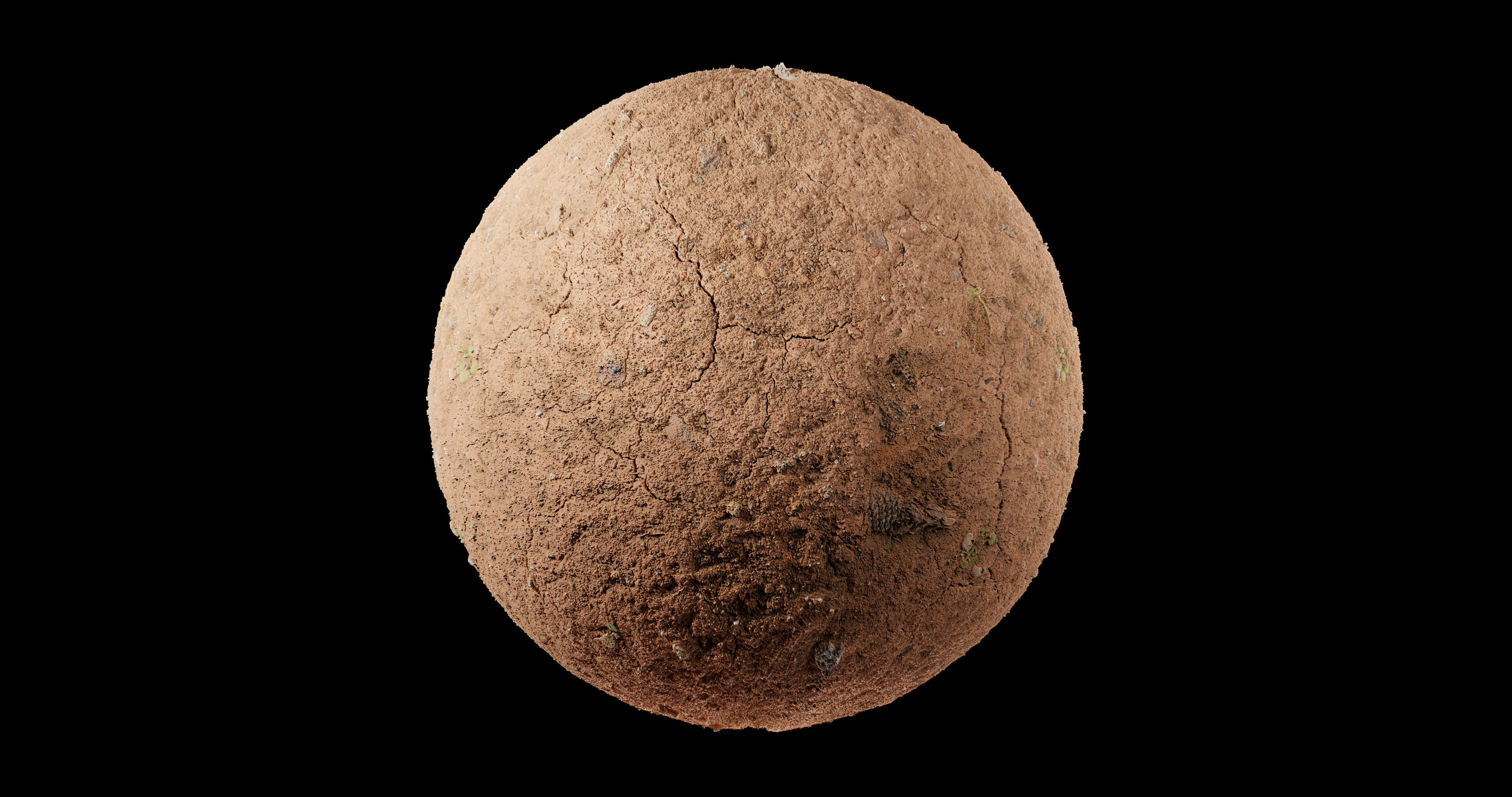 Dirt 1 egg Texture_1