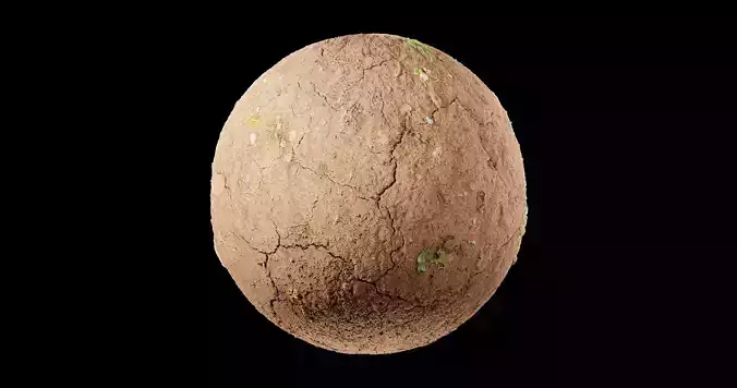 Dirt 2 egg Texture