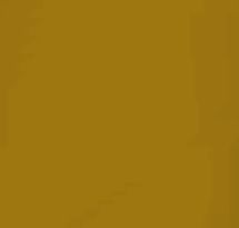 Oldschool Runescape - Life Size Anti-dragon Shield 3D print model_9