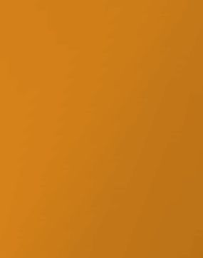 Oldschool Runescape - Life Size Anti-dragon Shield 3D print model_8