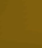 Oldschool Runescape - Life Size Anti-dragon Shield 3D print model_4