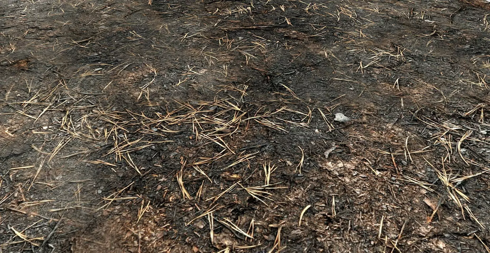 Terrain - Burn Ground - PBR - seamless Low-poly 3D model