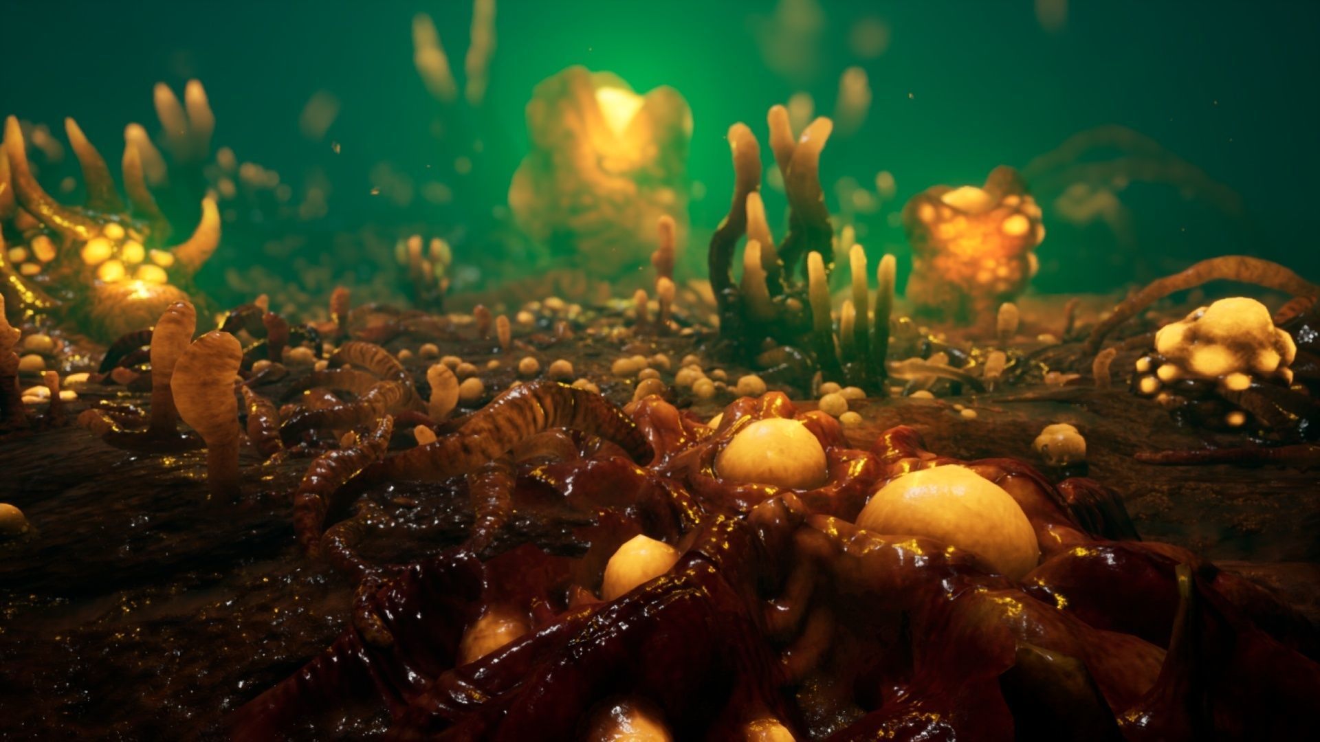 Alien Biomass Planet and Interior Low-poly 3D model_11