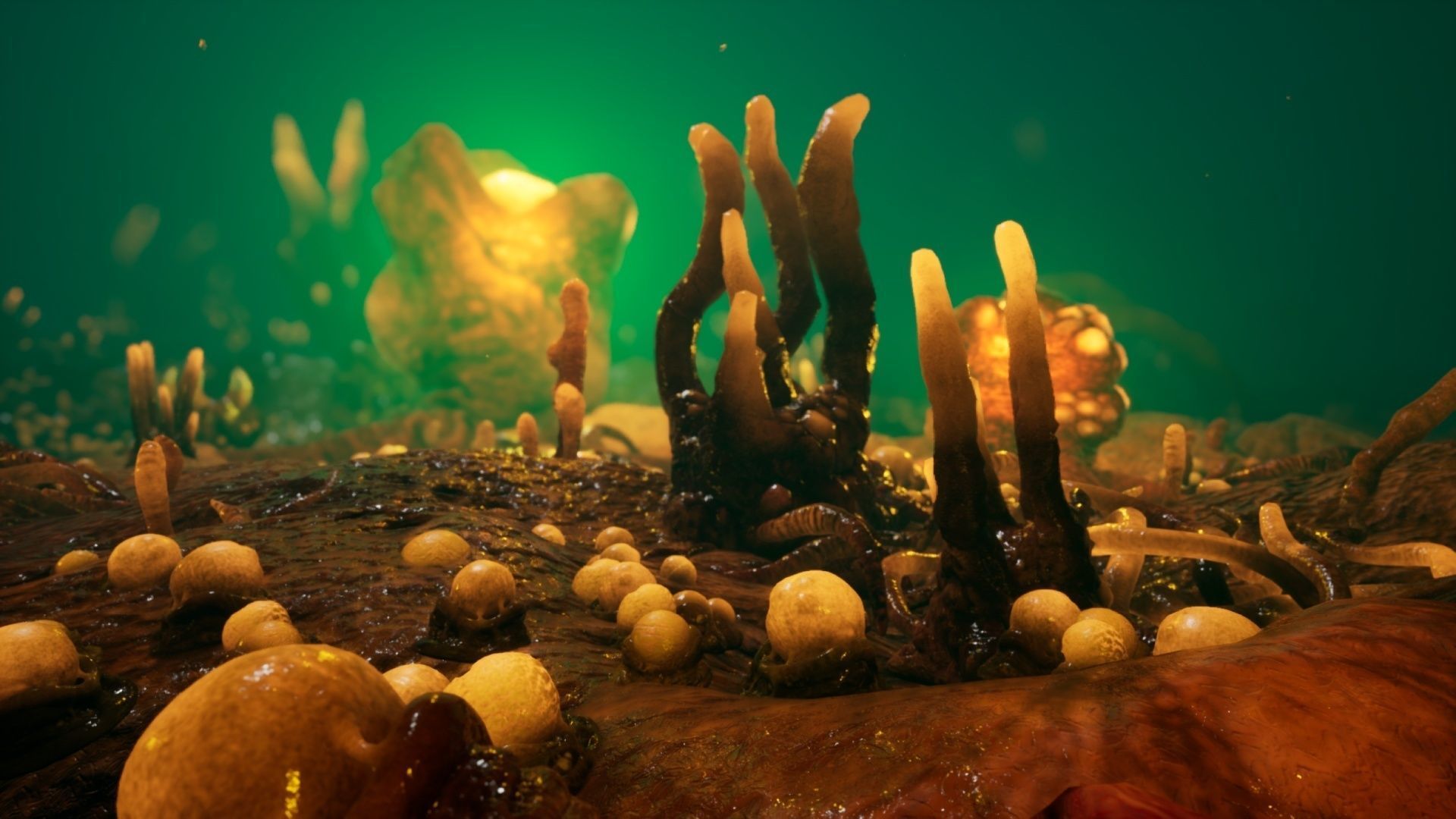 Alien Biomass Planet and Interior Low-poly 3D model_13