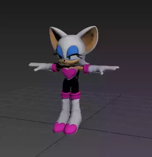 Rouge sonic hedge cat