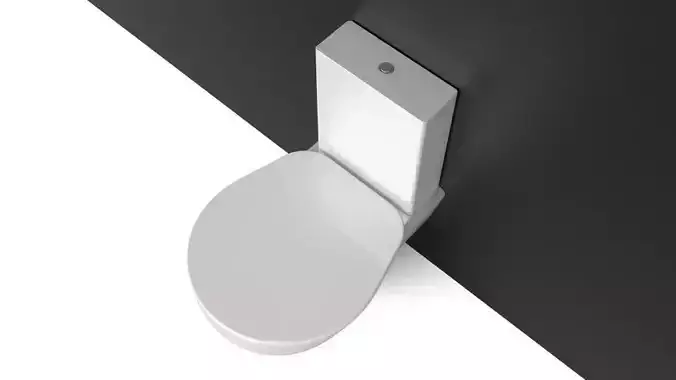 Toilet Meridian ROCA