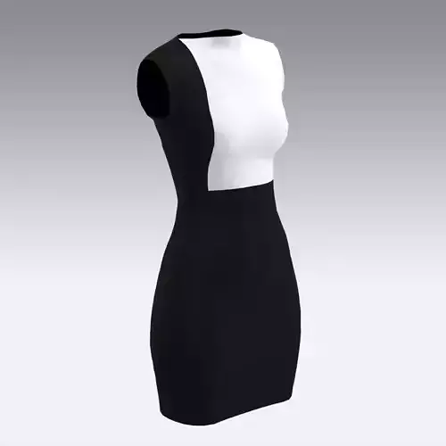 DRESS BLACK AND WHITE LOOK MODERN