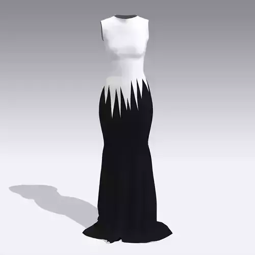 DRESS LONG BLACK AND WHITE LOOK