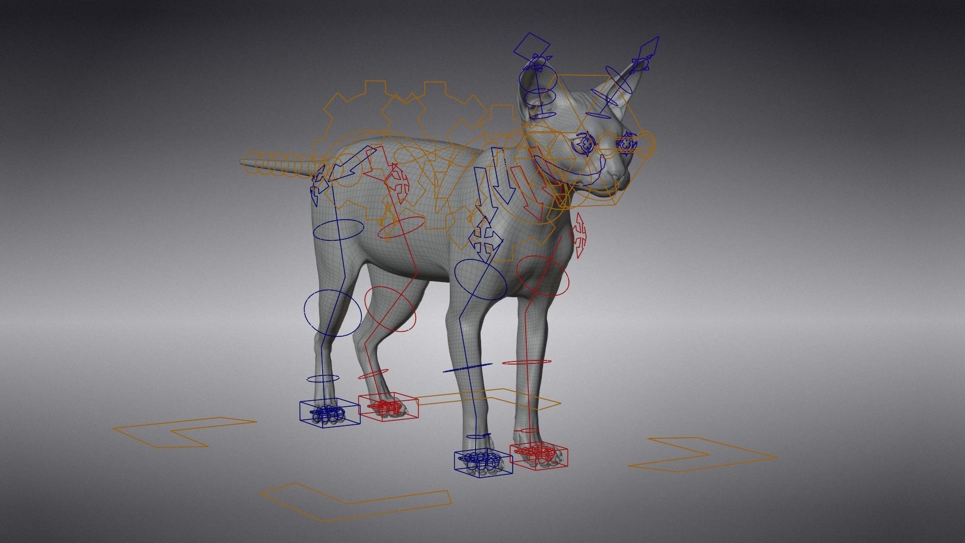 Calico Cat 01 Animated VFX Grace 3D model_15