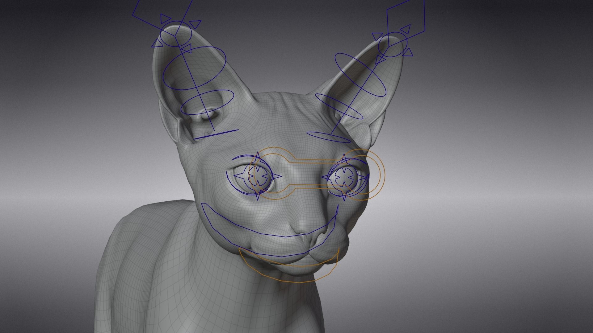 Calico Cat 01 Animated VFX Grace 3D model_20