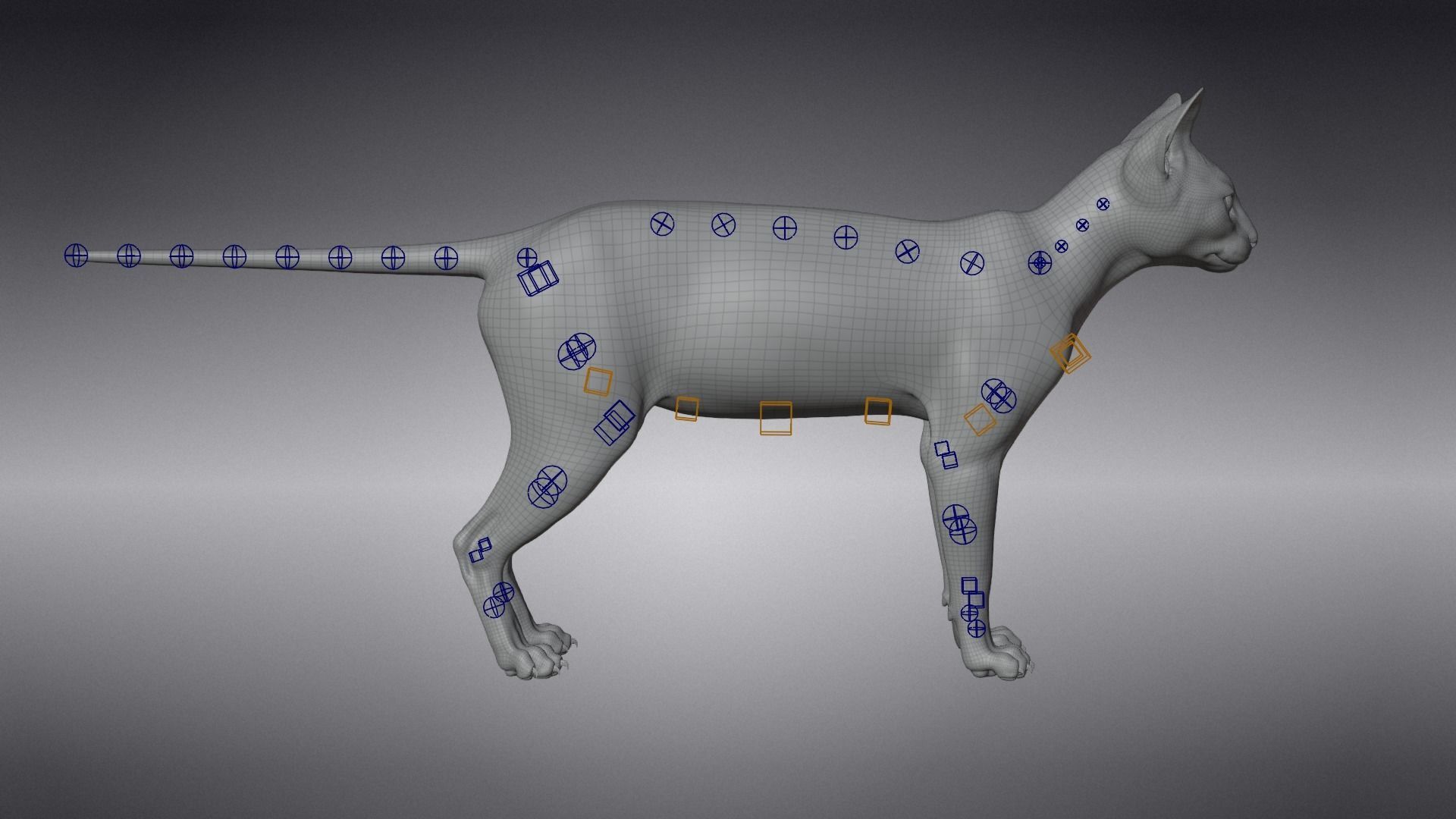 Calico Cat 01 Animated VFX Grace 3D model_17