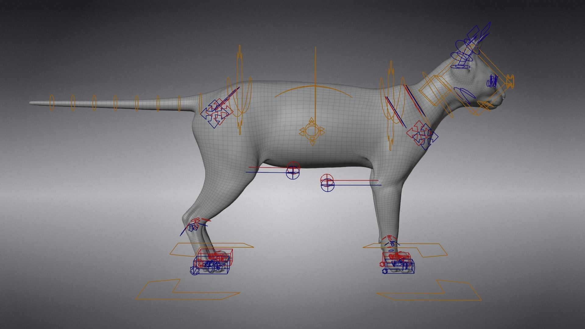 Calico Cat 01 Animated VFX Grace 3D model_16