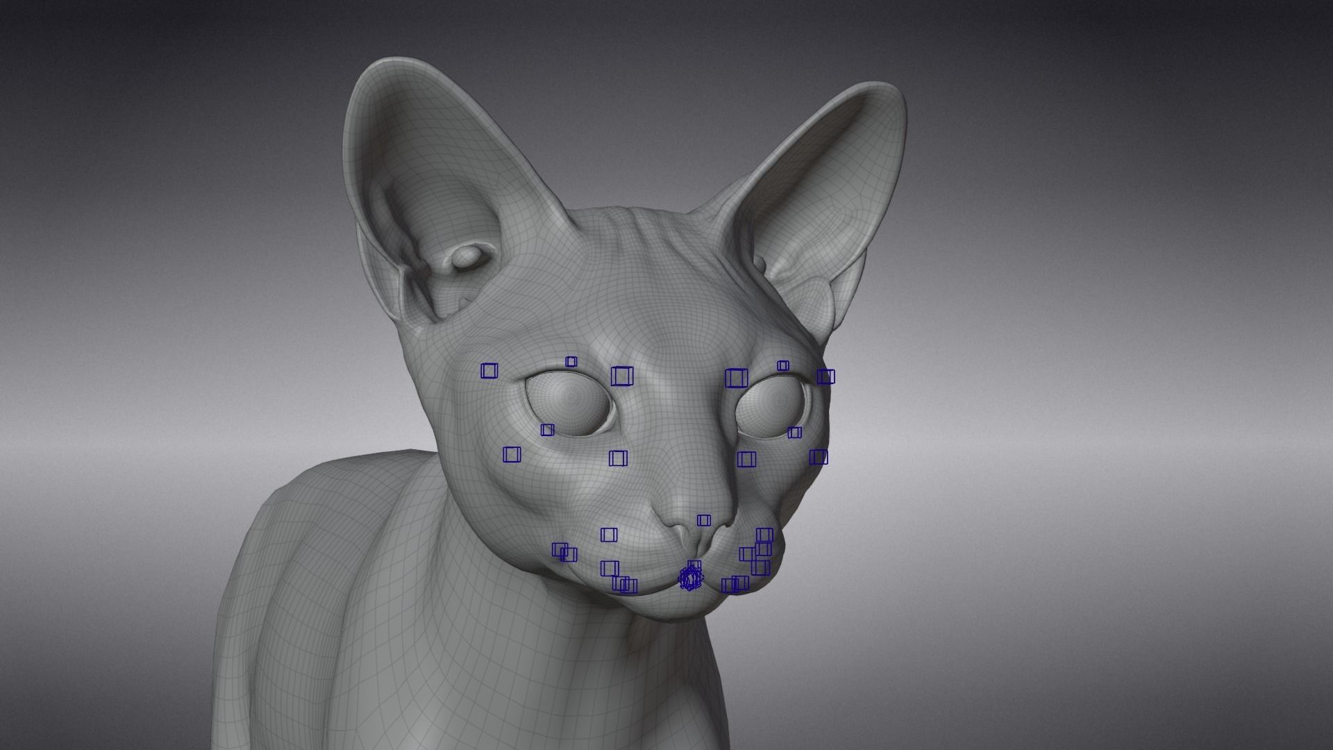 Calico Cat 01 Animated VFX Grace 3D model_21