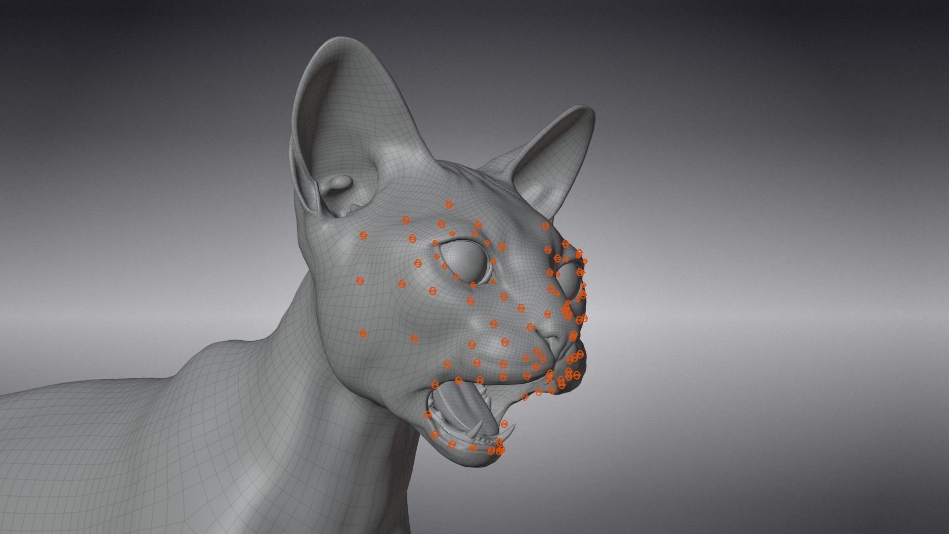 Calico Cat 01 Animated VFX Grace 3D model_23