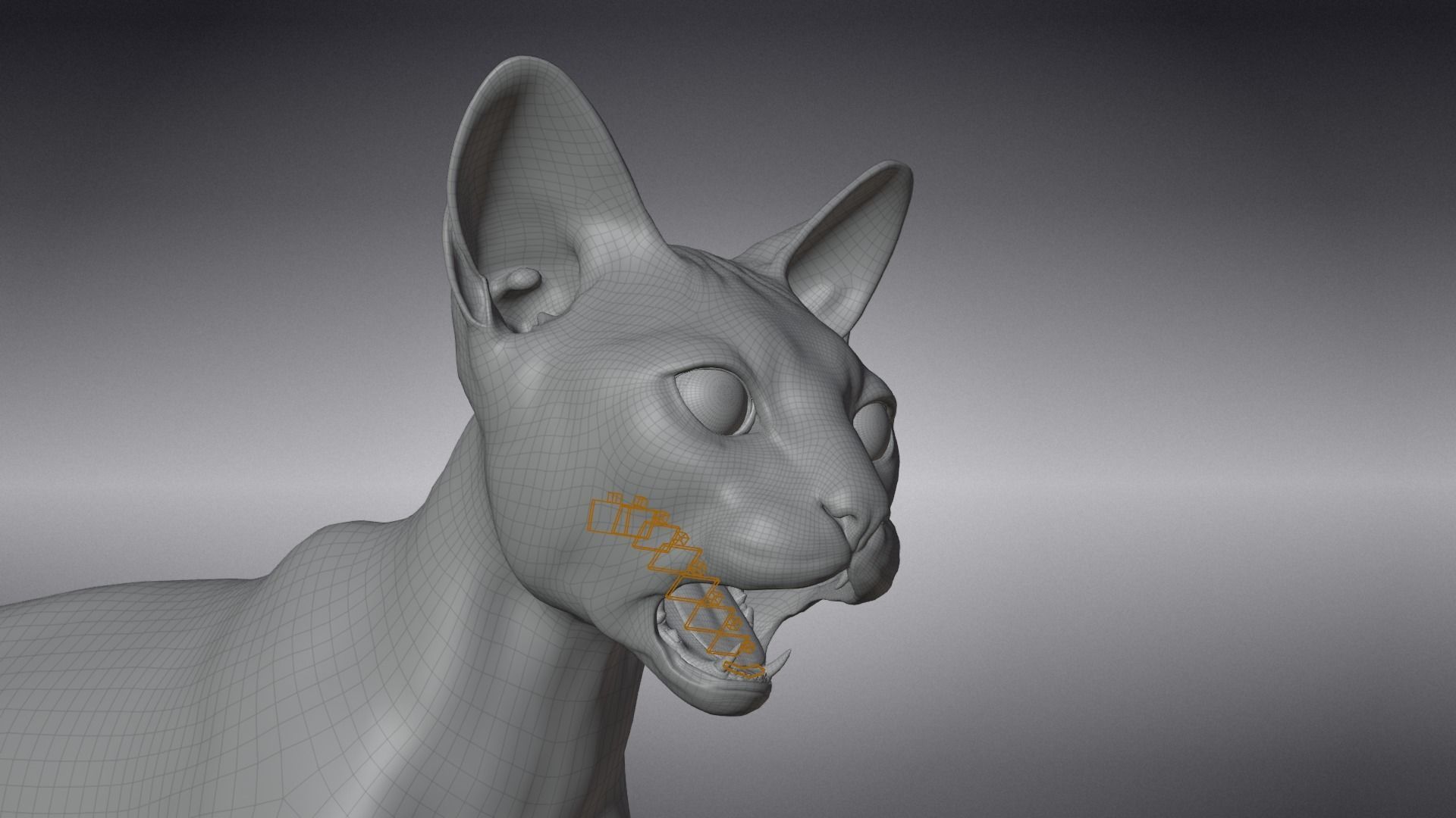 Calico Cat 01 Animated VFX Grace 3D model_22