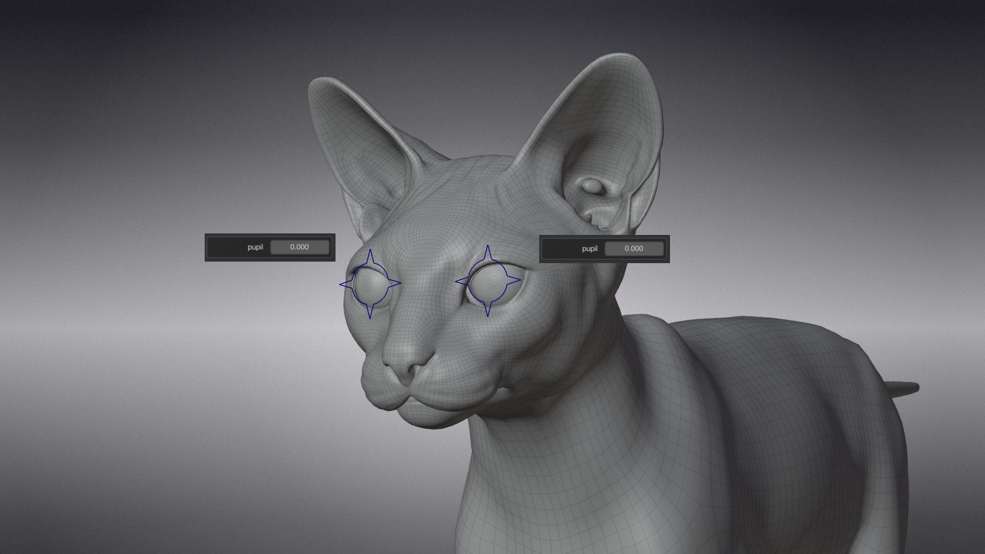 Calico Cat 01 Animated VFX Grace 3D model_19