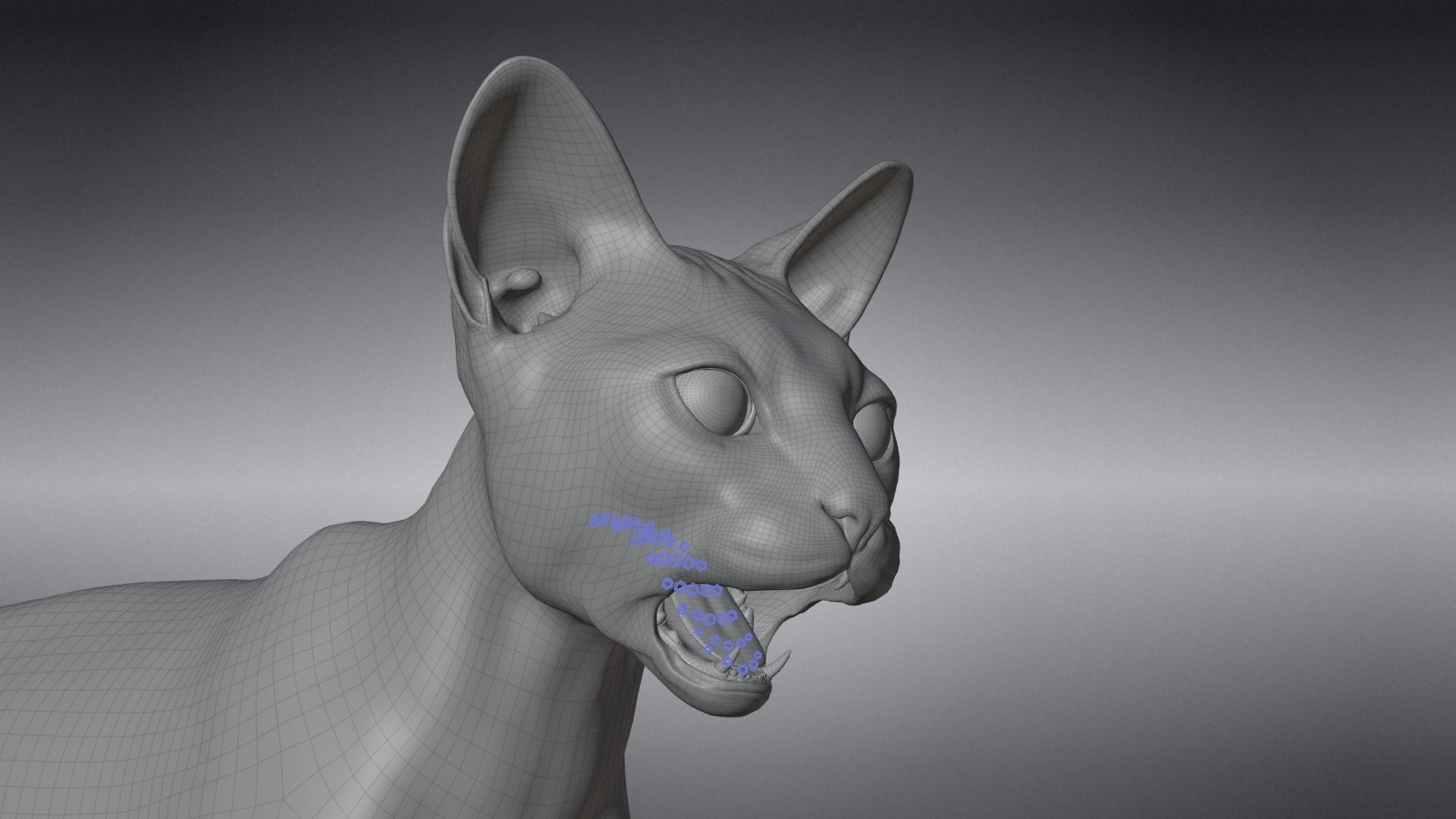 Calico Cat 01 Animated VFX Grace 3D model_24