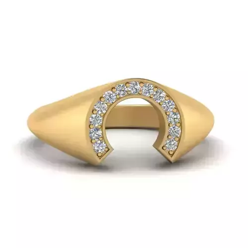 Horseshoe ring