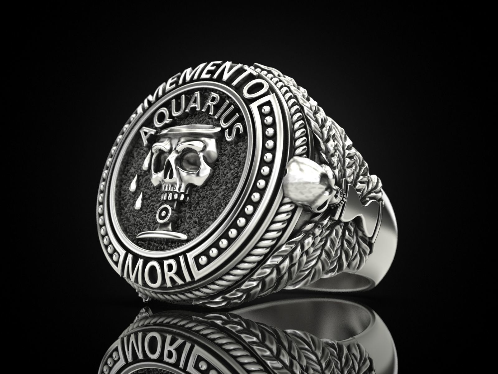 Zodiac skull ring Aquarius 3D print model_25