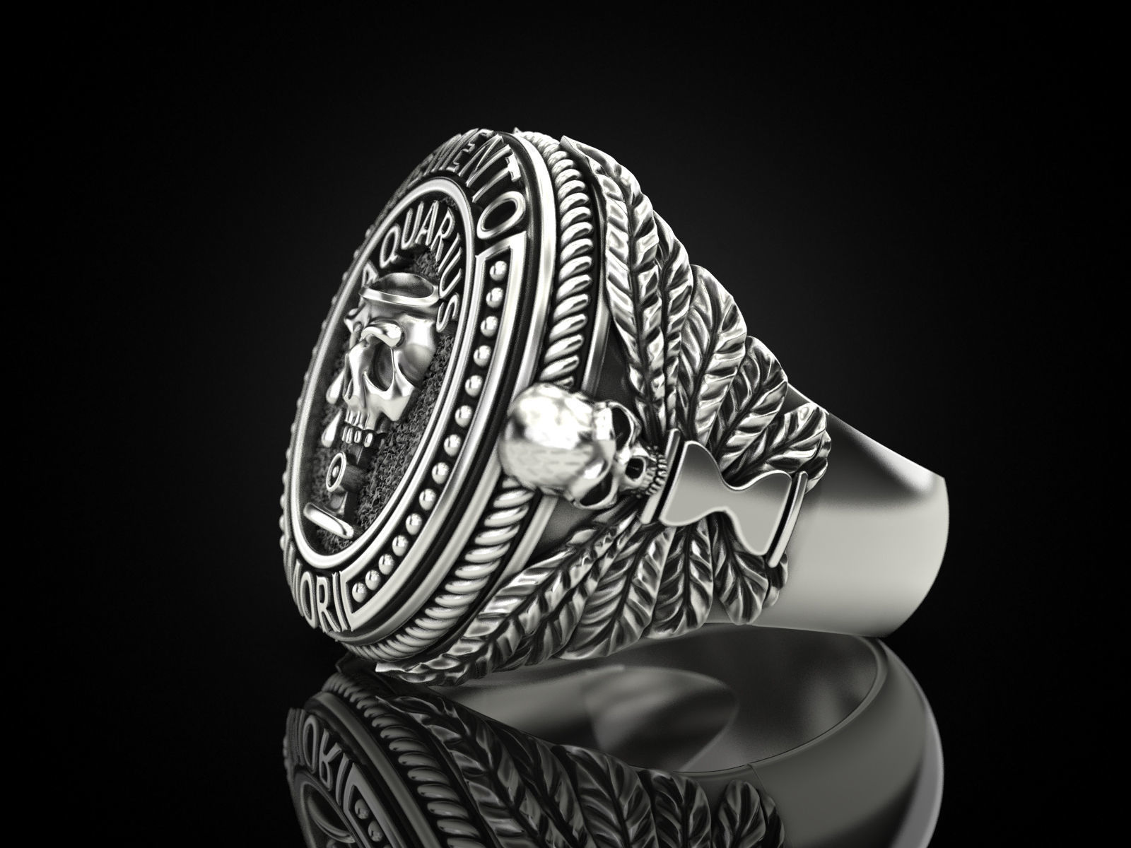 Zodiac skull ring Aquarius 3D print model_27