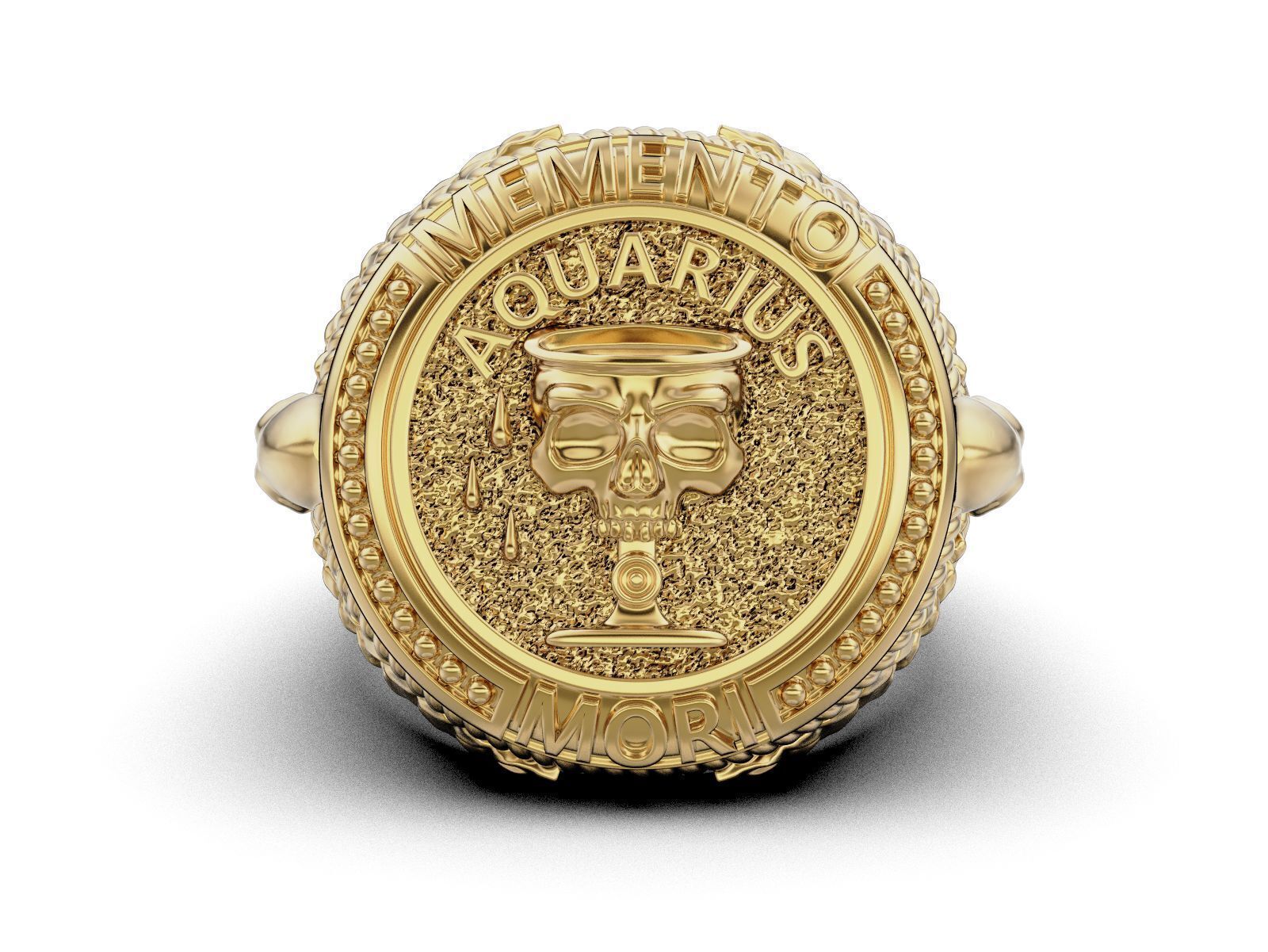 Zodiac skull ring Aquarius 3D print model_11