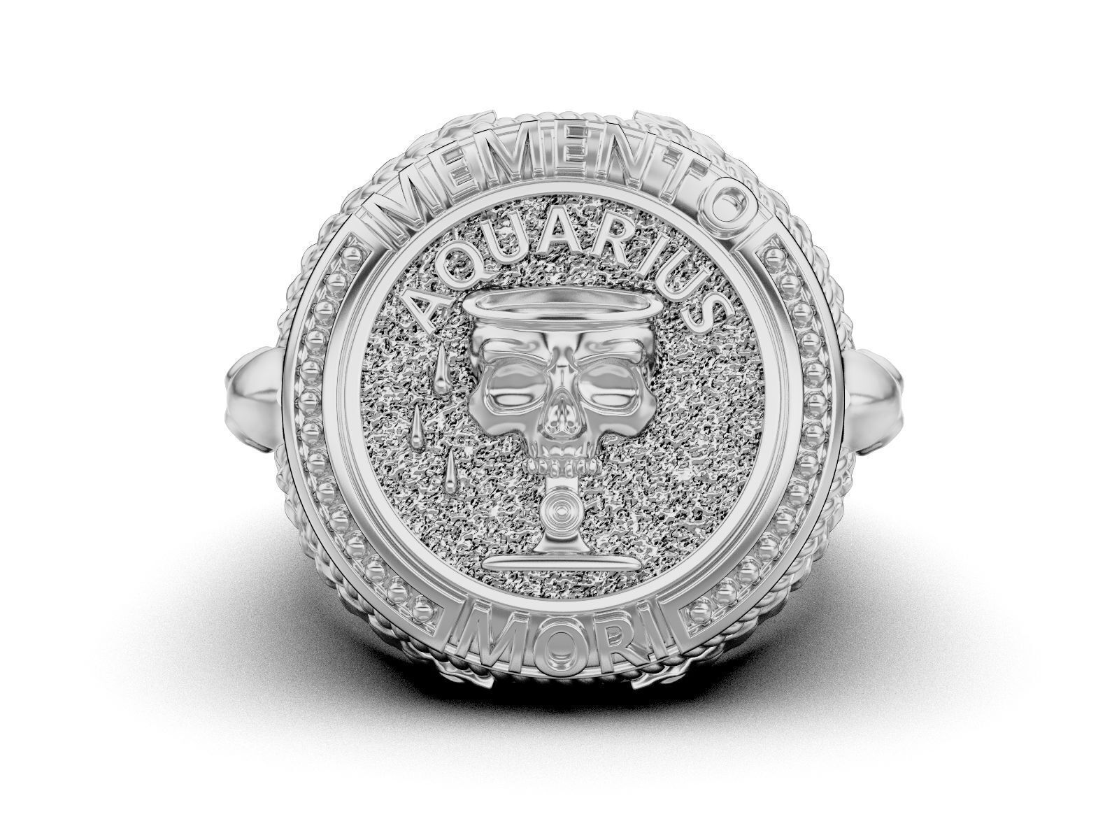 Zodiac skull ring Aquarius 3D print model_18