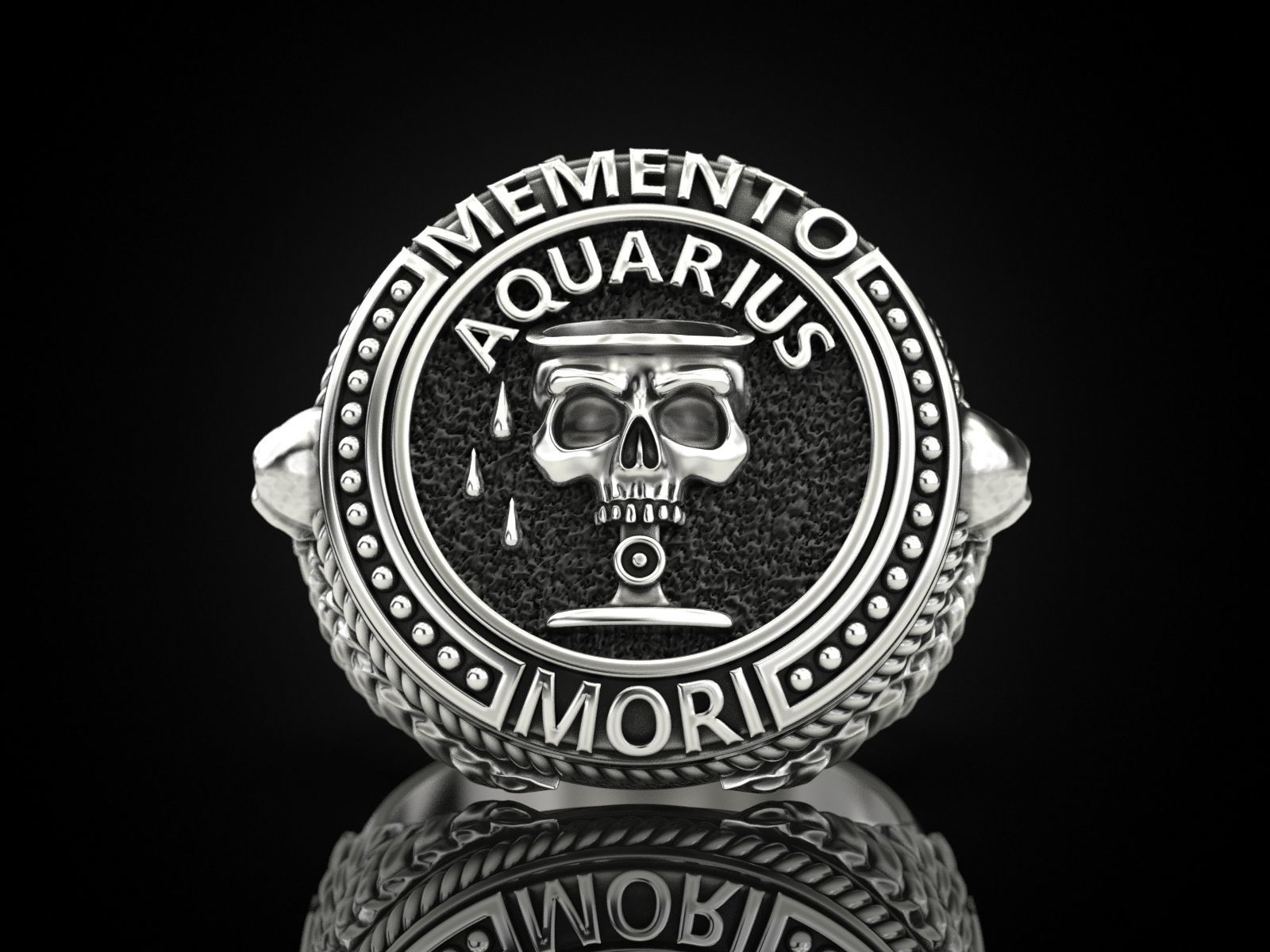 Zodiac skull ring Aquarius 3D print model_23