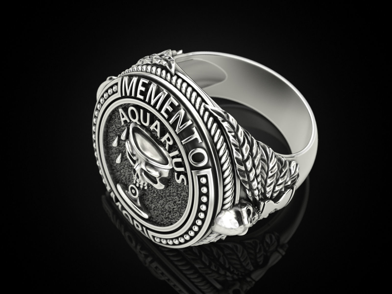 Zodiac skull ring Aquarius 3D print model_28