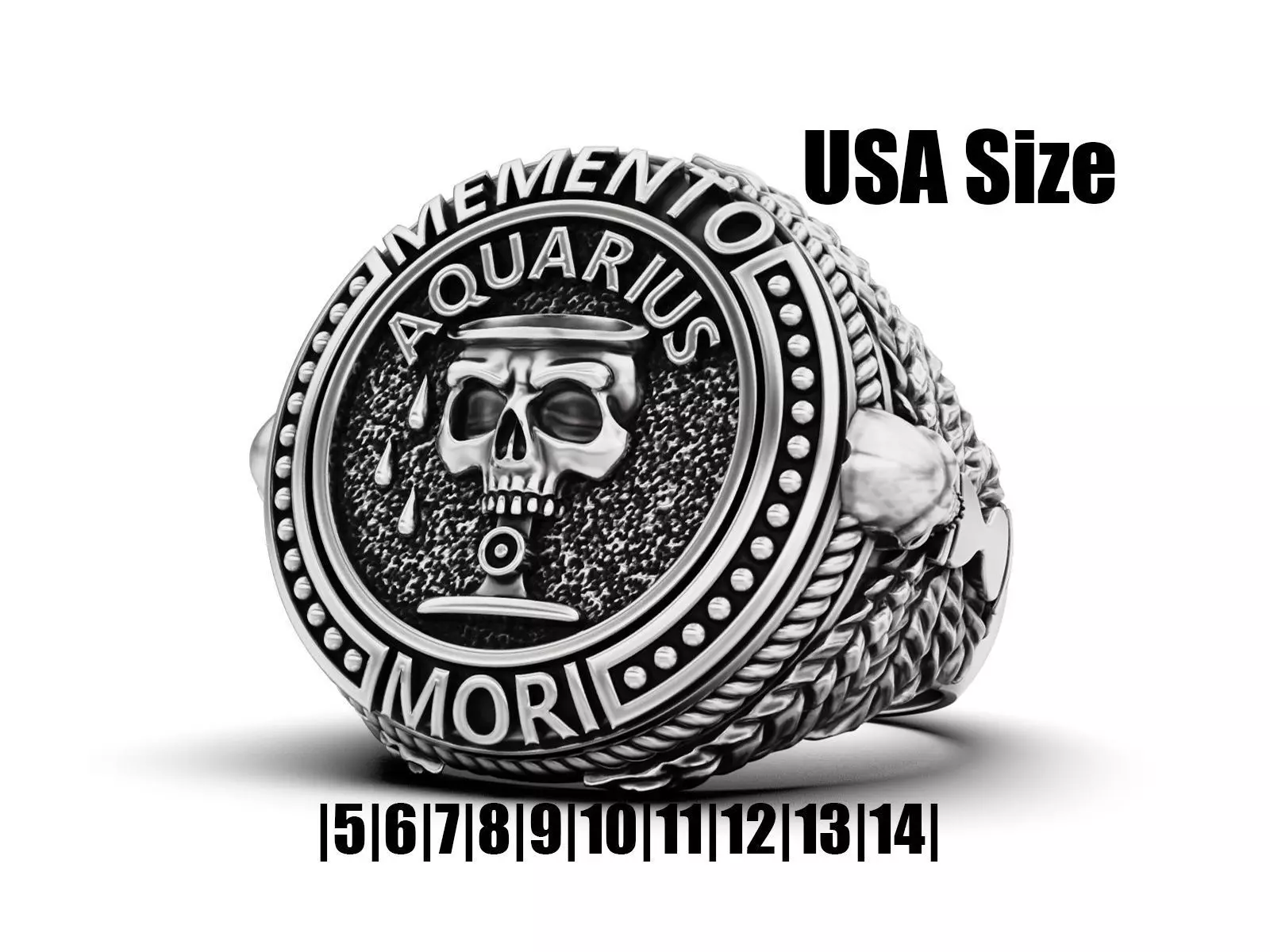 Zodiac skull ring Aquarius 3D print model_0