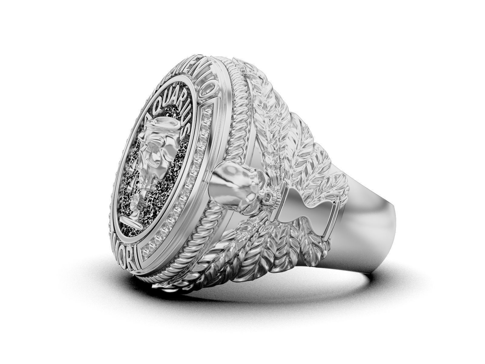 Zodiac skull ring Aquarius 3D print model_20